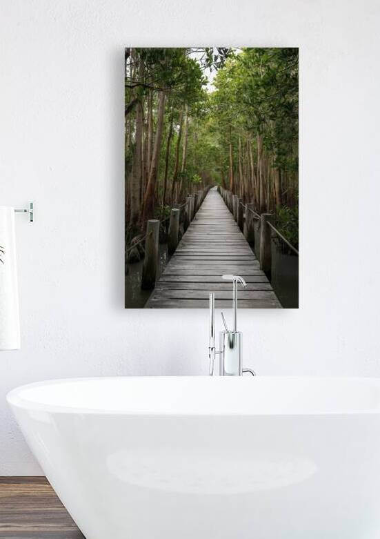 Mangrove forests around the footbridge 2 by Iremia Tudor