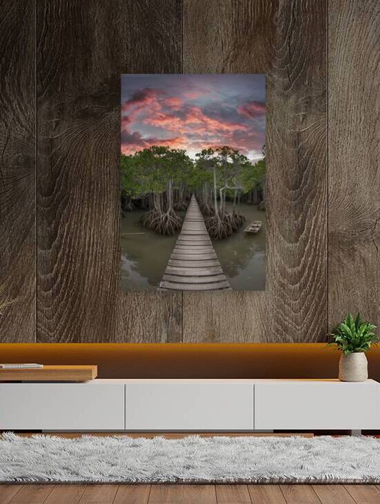Mangrove forests around the footbridge by Iremia Tudor