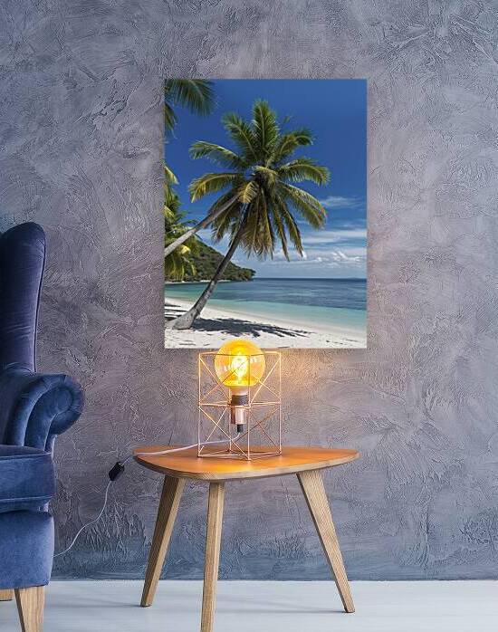 Palm tree on the tropical beachwith a beautiful s by Iremia Tudor