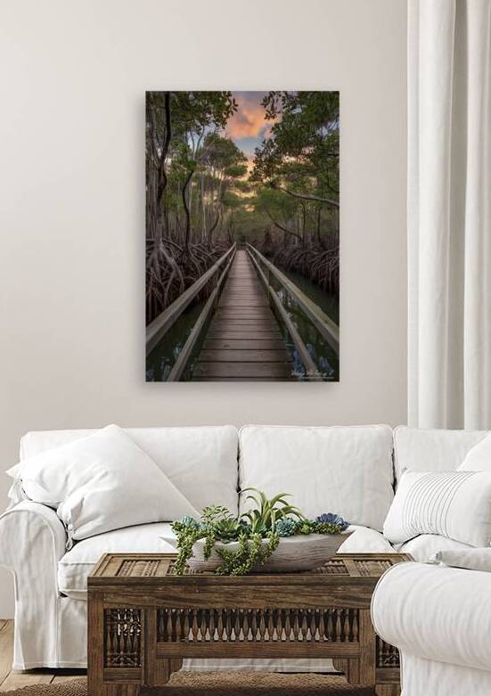 Mangrove forests around the footbridge 4 by Iremia Tudor