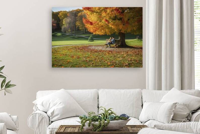 Beautiful autumn landscape with. Colorful foliage by Iremia Tudor