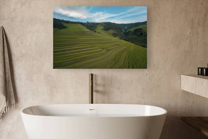 Rice fields on terraced landscapes blue sky 3 by Iremia Tudor