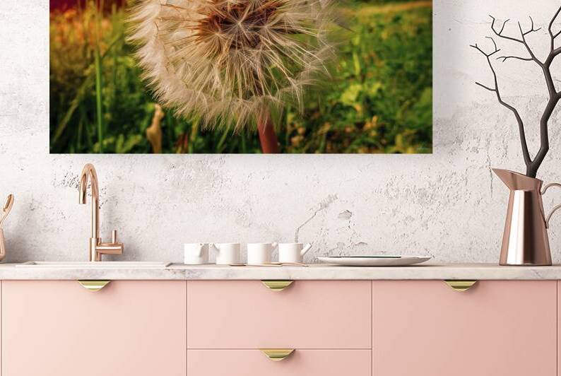 Fluffy dandelion flower against the background of by Iremia Tudor
