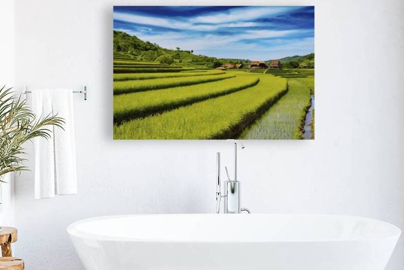 Rice fields on terraced landscapes blue sky 4 by Iremia Tudor