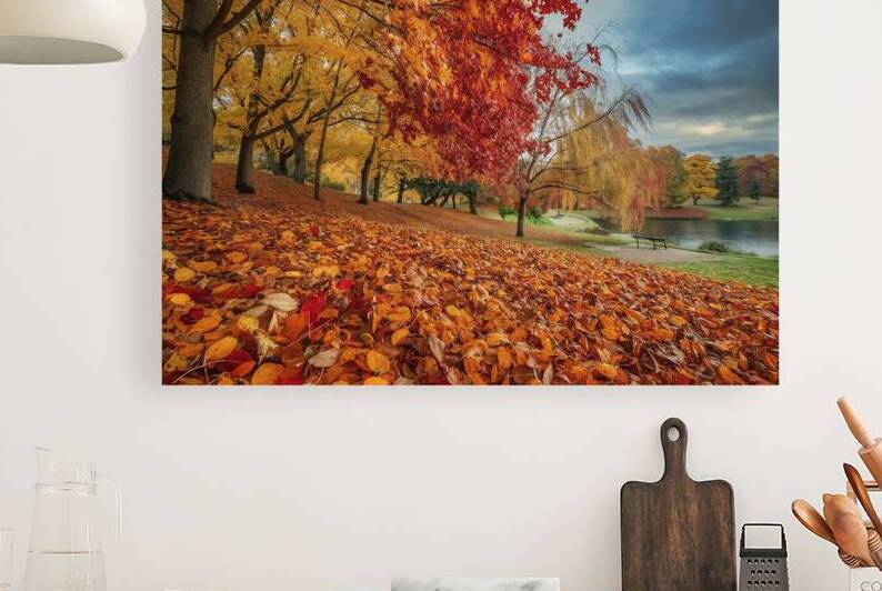 Beautiful autumn landscape with. Colorful foliage 1722616824.1424 by Iremia Tudor