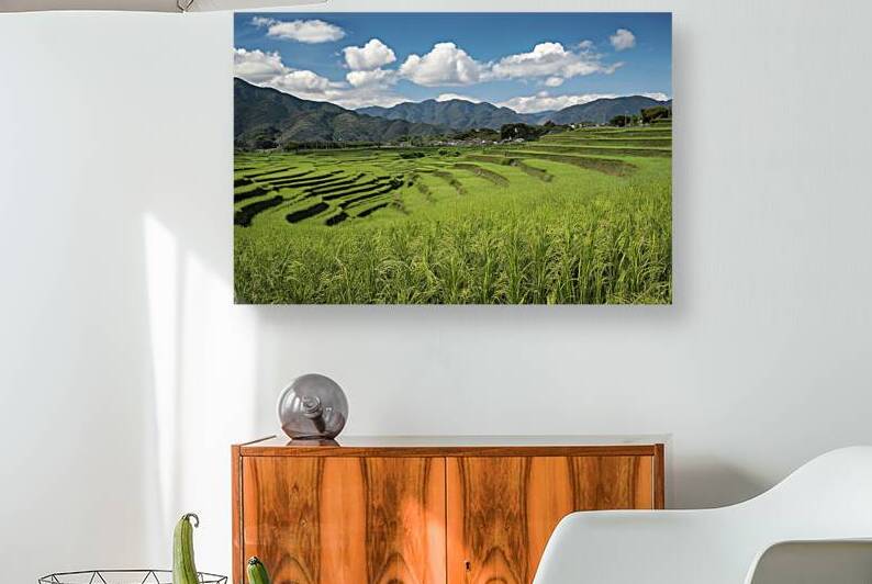 Rice fields on terraced landscapes blue sky 2 by Iremia Tudor