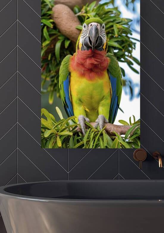 Cape parrot exotic bird sitting on the tree by Iremia Tudor