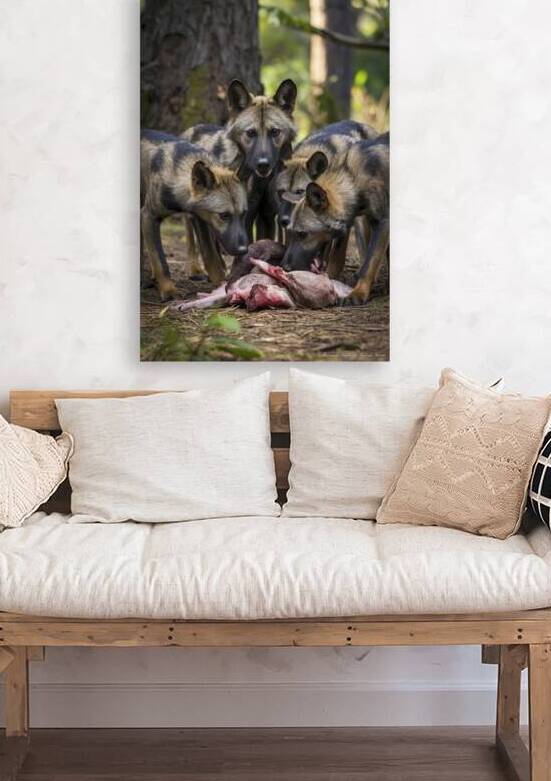 Asian wild dog family by Iremia Tudor
