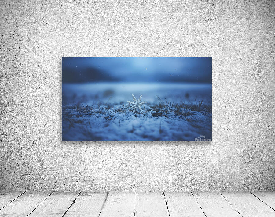 Blue winter snow background Wall Preview