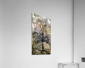 The dream Acrylic Print