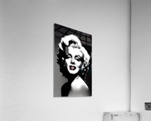 Lady Marilyn Acrylic Print