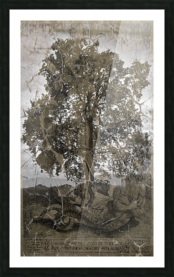 Sacred tree Picture Frame print