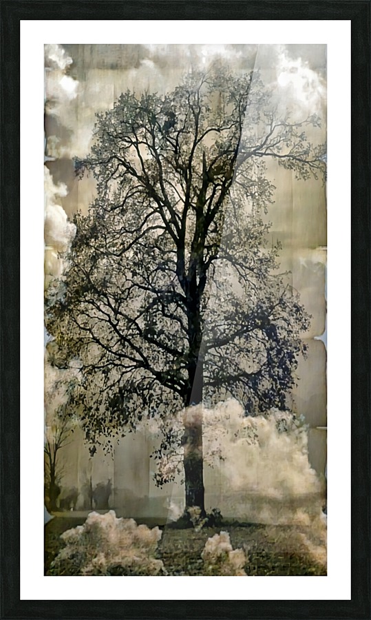 The dream Picture Frame print