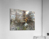 Plane Crash Acrylic Print