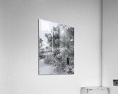 Frozen in Time Acrylic Print