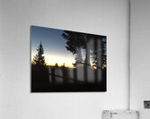 Silhouettes Acrylic Print