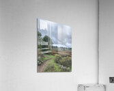 Colors Below Acrylic Print