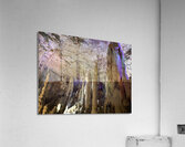 Gaias Columns Acrylic Print