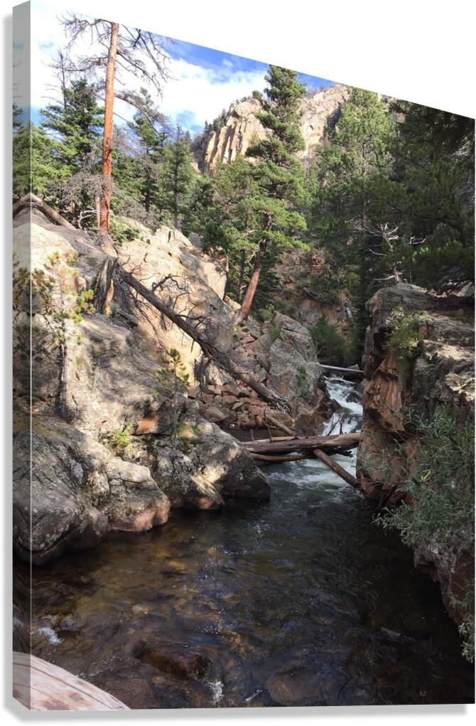 A Mountain Creek Canvas Print