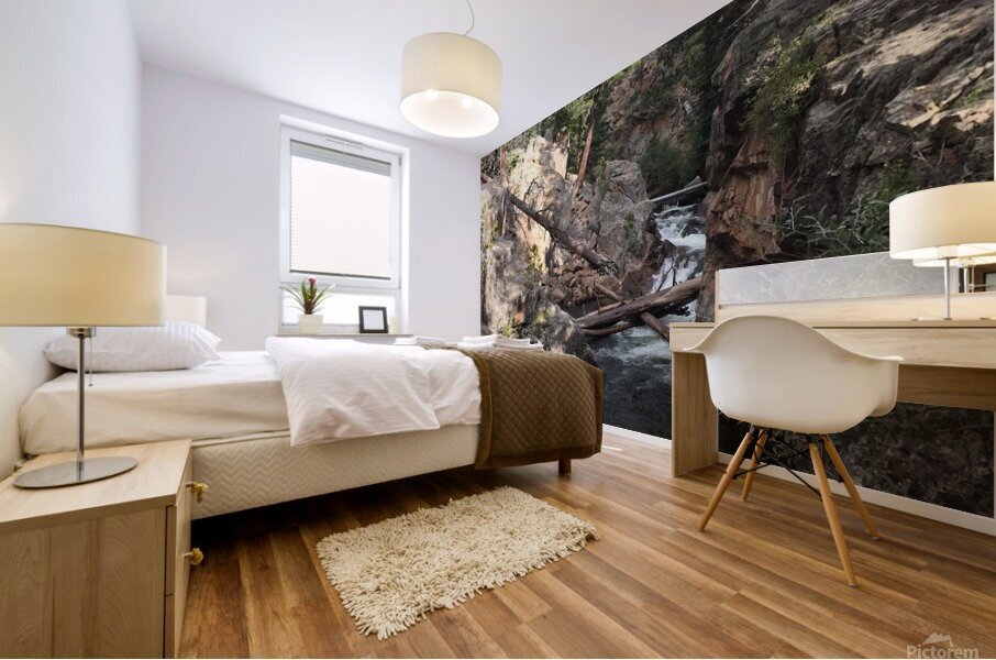 A Mountain Creek Mural print