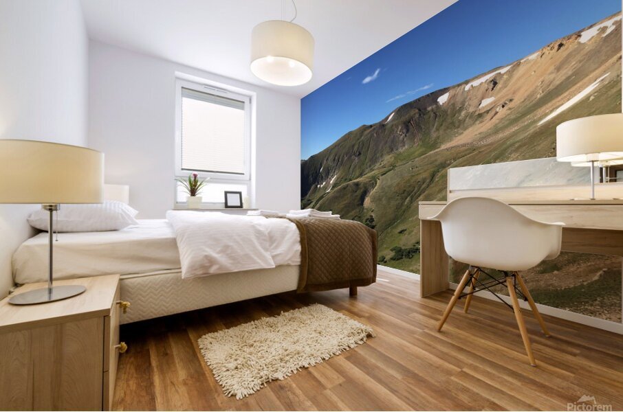 Alpine Tundra Mural print