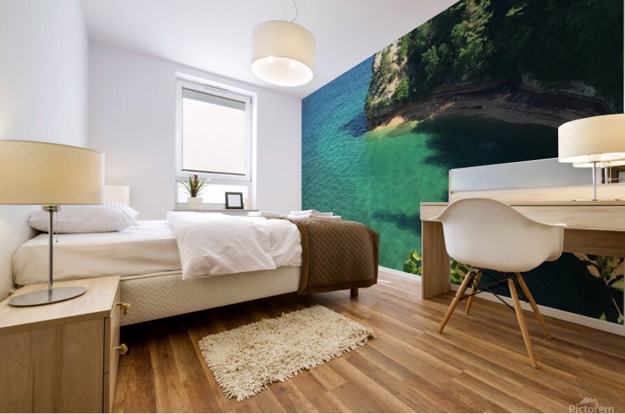 Rocky Promontory Mural print