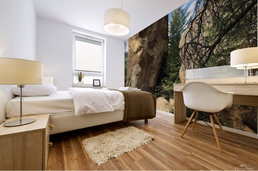 Granite Duolith Mural print