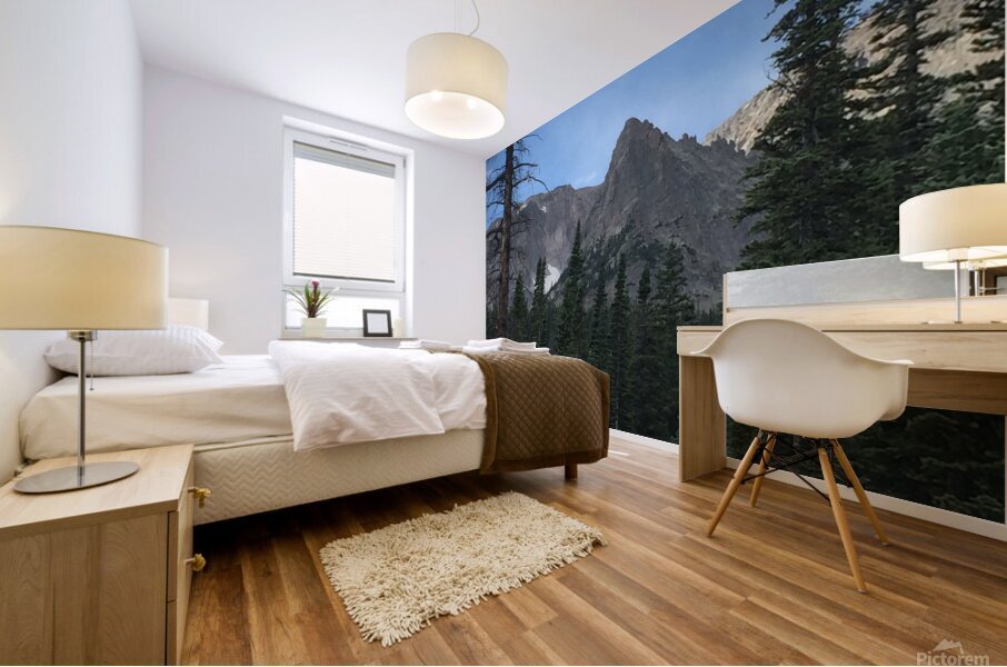 Peak Framed by Trees Mural print