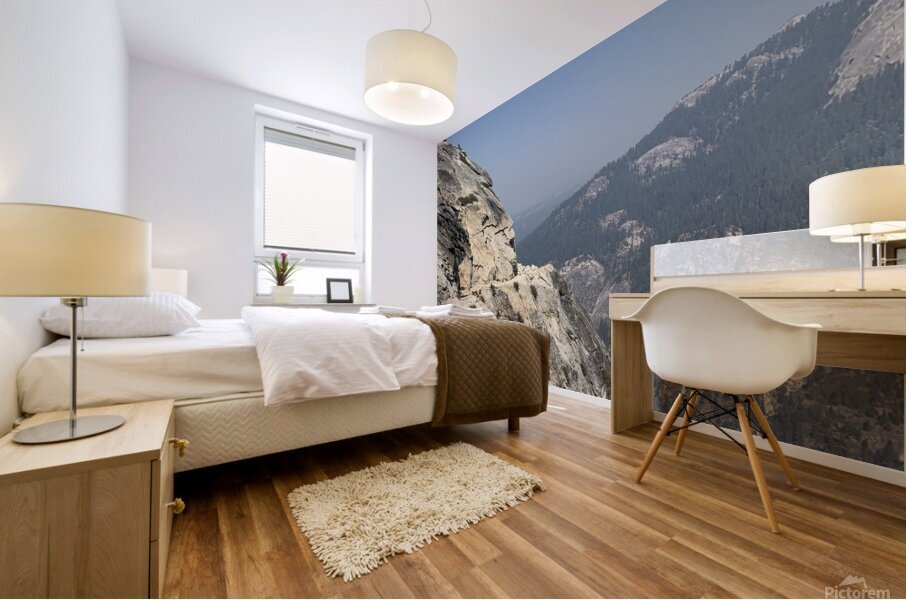 Along the Edge Mural print