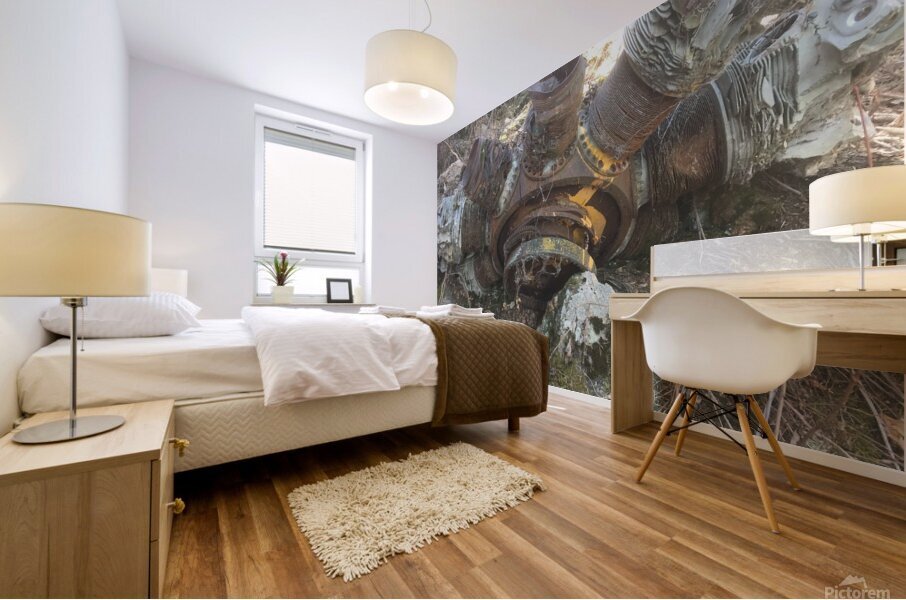 Plane Crash Mural print