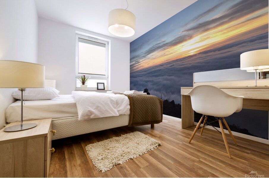 Mountain Adrift Mural print