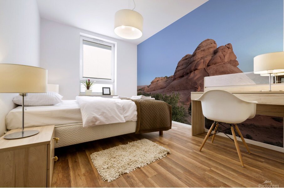 Red Domes Mural print
