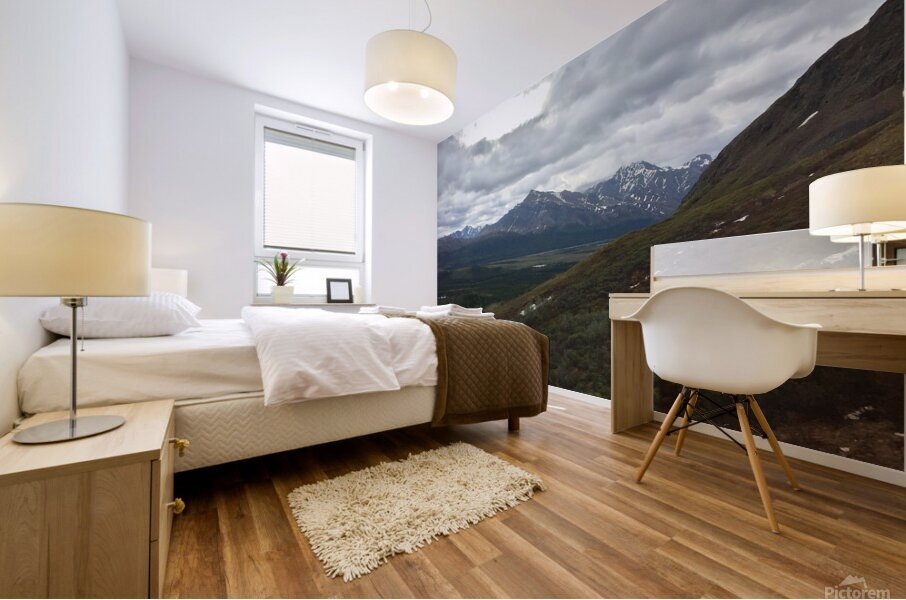 Across a Valley Mural print