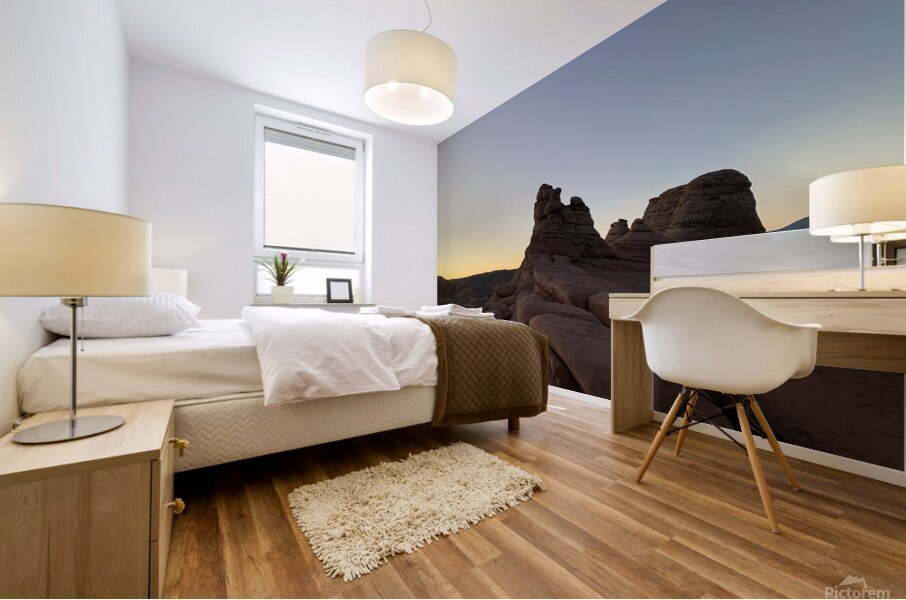 Predawn Rocks Mural print