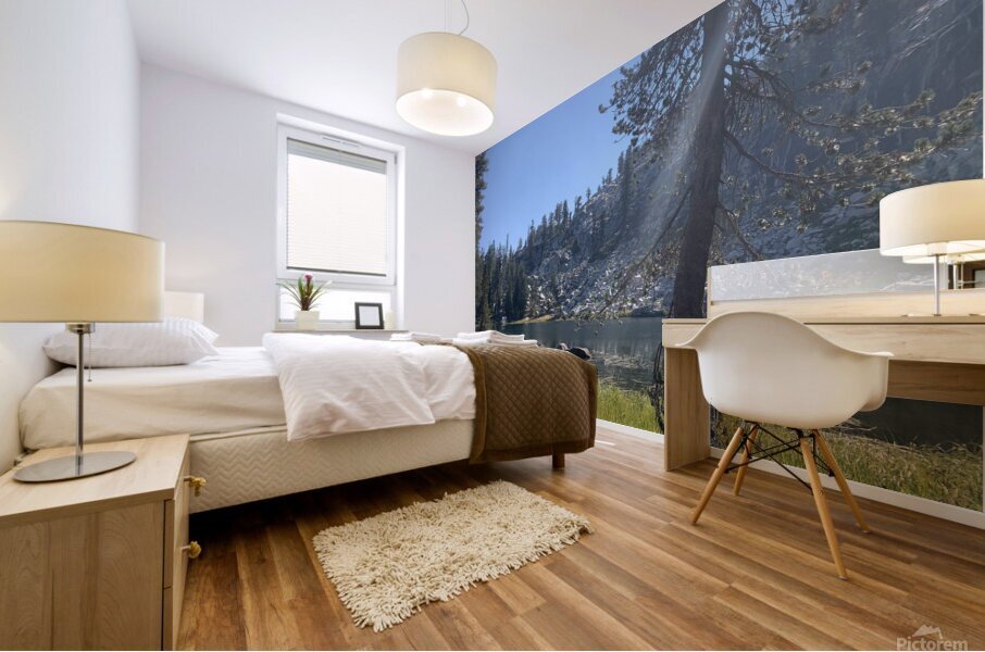 A Mountain Lake Mural print