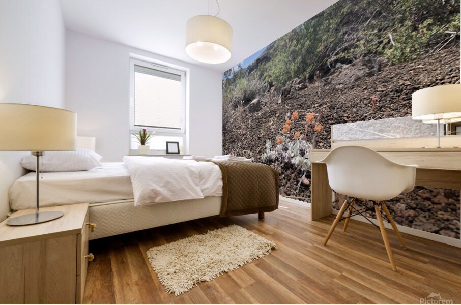 Volcano Flower Mural print