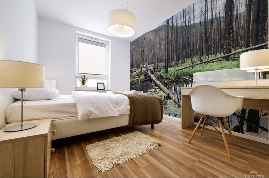 Recovery Mural print