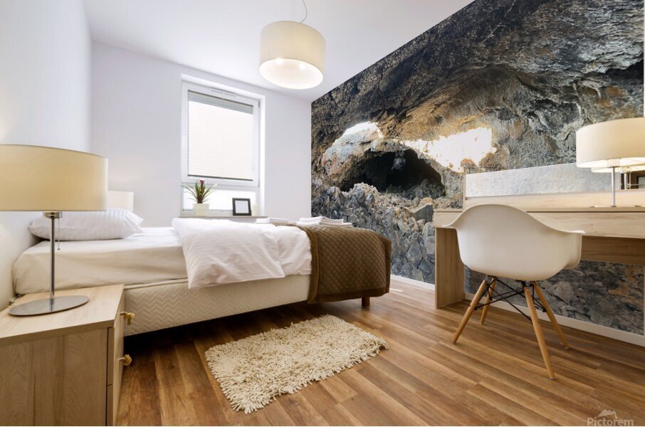 Earths Corridors Mural print