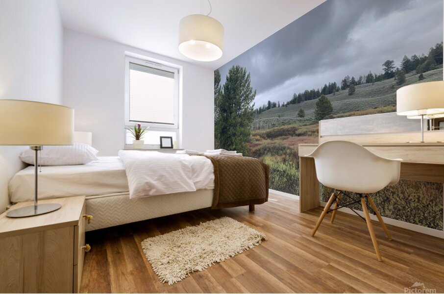 Colors Below Mural print