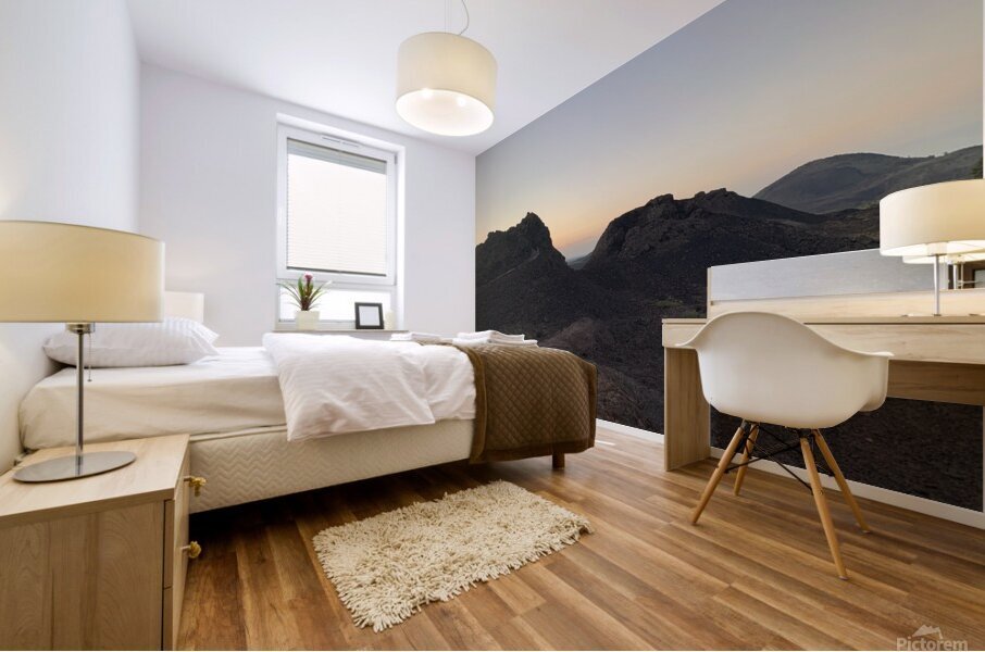 Cinder Cones Mural print