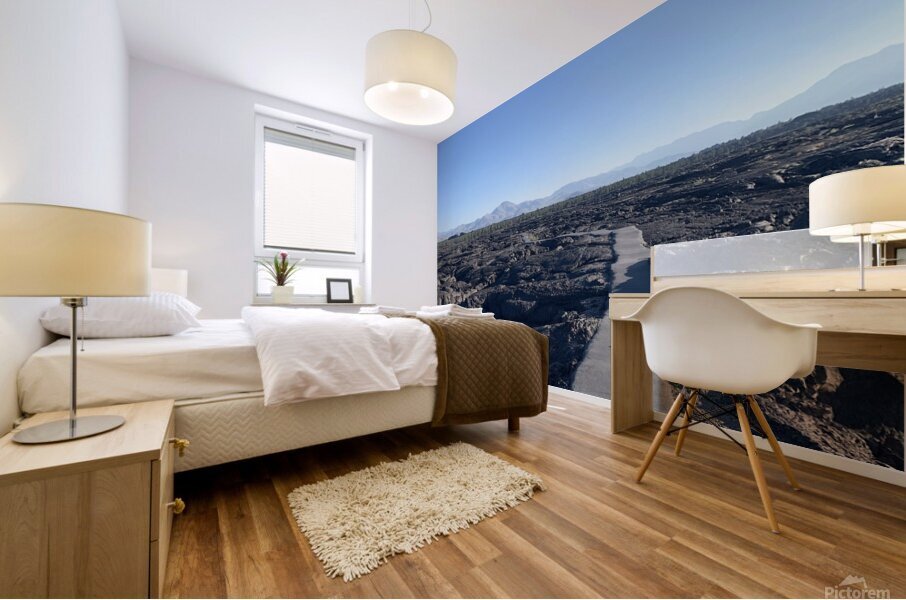 Path to Nowhere Mural print