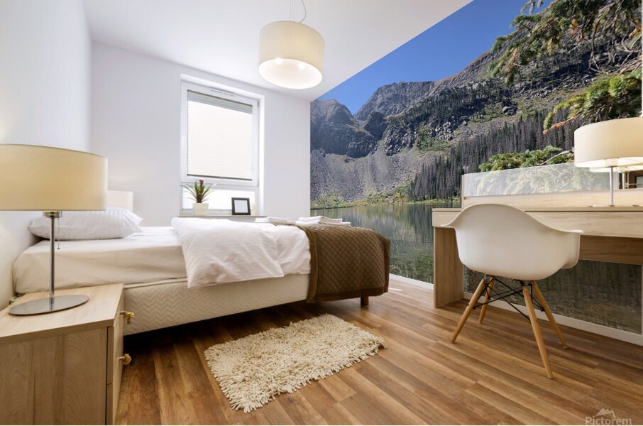 Distorted Reflections Mural print