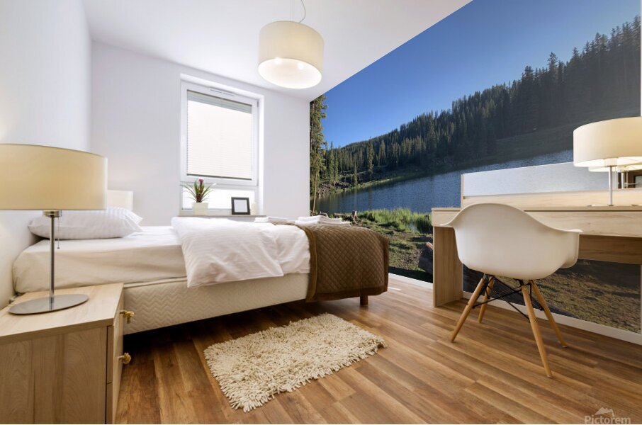 Ruffled Mountain Lake Mural print