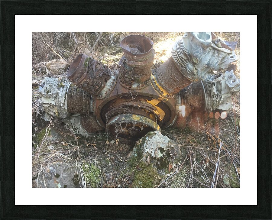 Plane Crash Picture Frame print