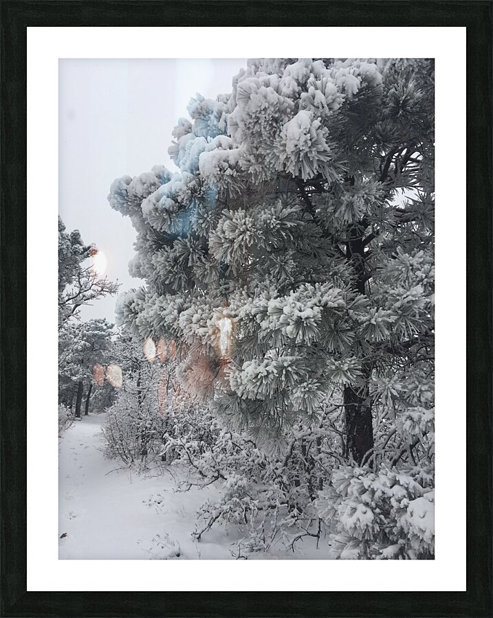 Frozen in Time Picture Frame print