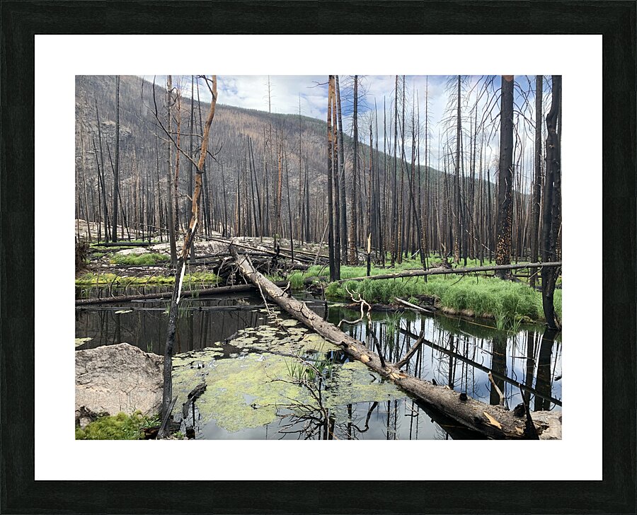 Recovery Picture Frame print