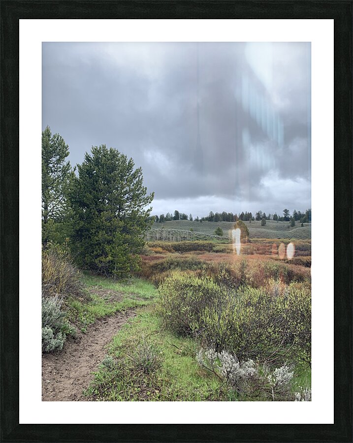 Colors Below Picture Frame print