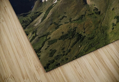 Alpine Tundra Lloyd Earickson puzzle