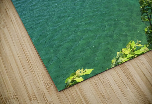 Rocky Promontory Lloyd Earickson puzzle