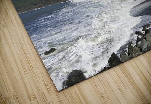 Ocean Surf Lloyd Earickson puzzle